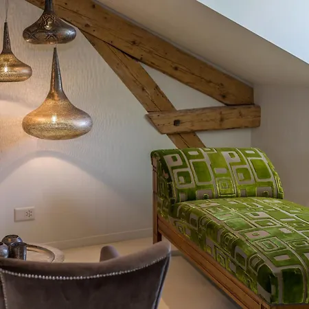 La Maison D'igor Hotel Morges