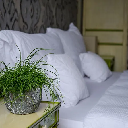 La Maison D'igor Hotel Morges