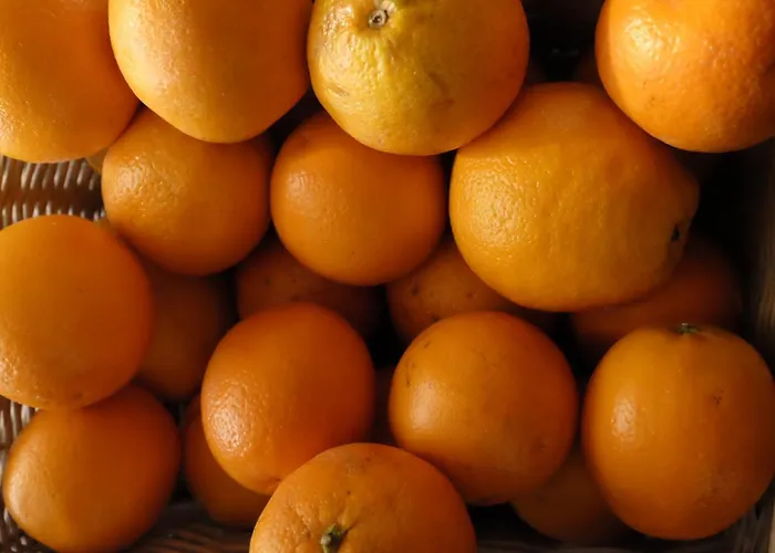 La Maison D'igor Hotel Morges